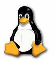 Linux proffesional